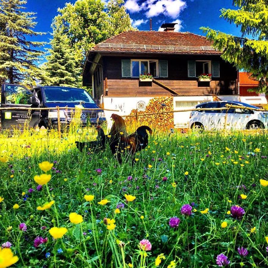 Gaestehaus Hohe Tannen Garmisch-Partenkirchen Bagian luar foto